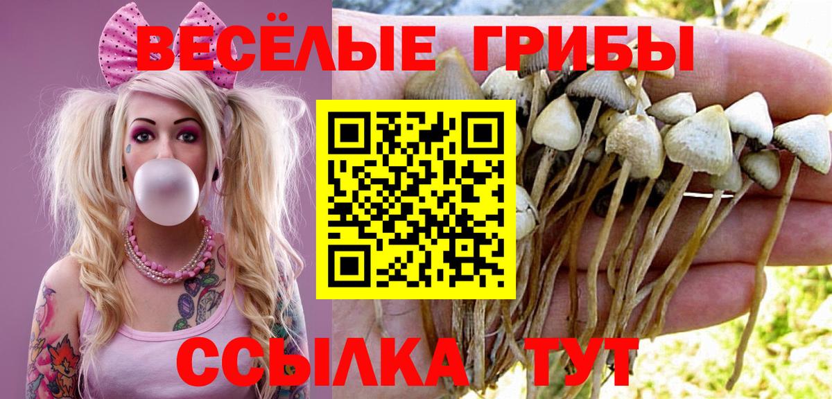 Галлюциногенные грибы Cubensis Когалым